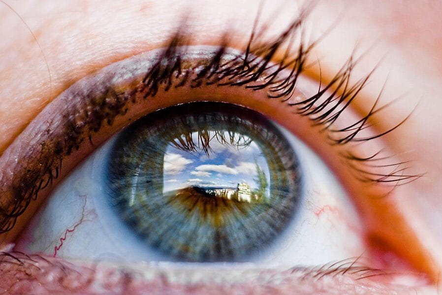 Cils clairsemés : le protocole qui les renforce vraiment, sans extensions